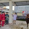 ‎Bupati Gorontalo Serahkan Sapi Qurban Banpres untuk Masjid Agung Baiturahman Limboto