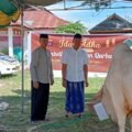 14 Hewan Kurban Disembelih Keluarga Besar Polres Gorontalo di Hari Raya Idul Adha