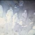 Viral! CCTV Rekam Detik-Detik Diduga Anggota Satpol PP Keroyok Polisi Polda Gorontalo, Jadi Pemicu Penyerangan Balik!
